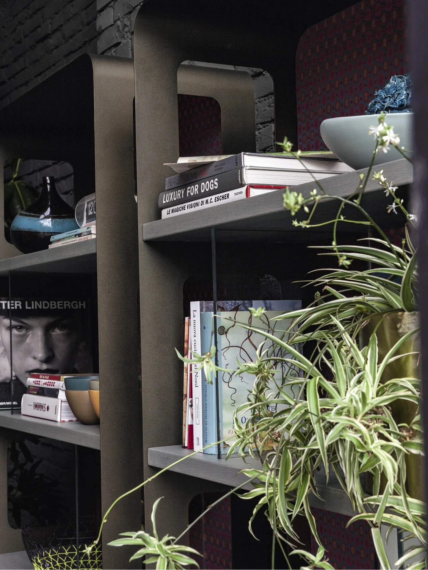 Libreria Devina Nais Academy